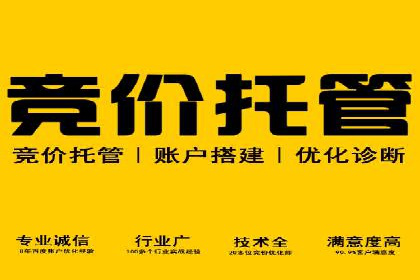 信息流广告投放公司案例分析报告